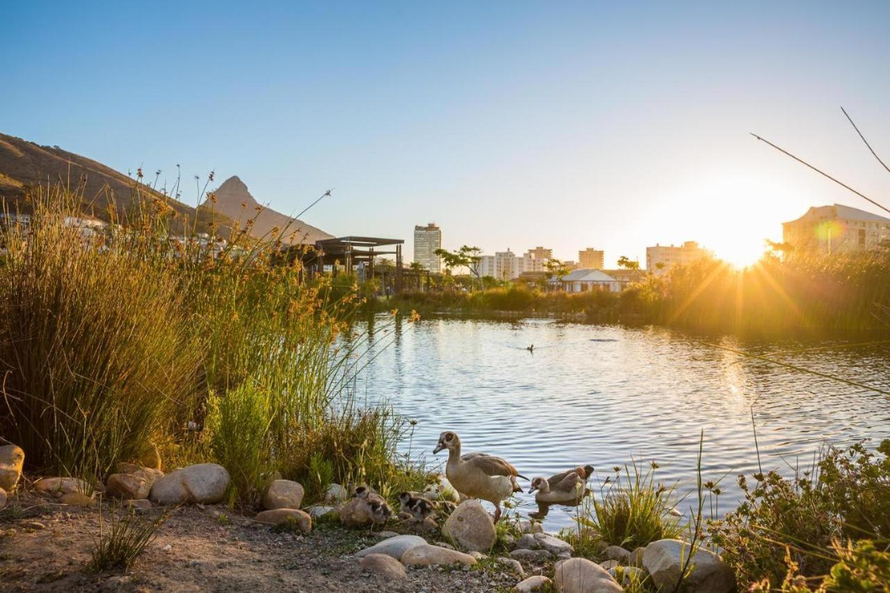 Luxury Apartment, Near V&A Waterfront And Cpt Stadium Le Cap Extérieur photo